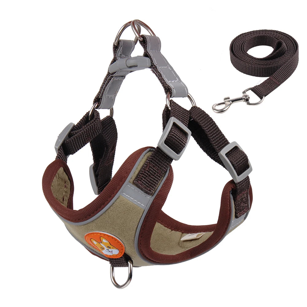 Conjunto de arnés y correa para gatos
