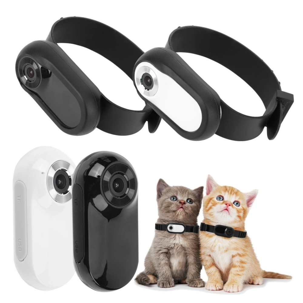 Collar con cámara para perros y gatos