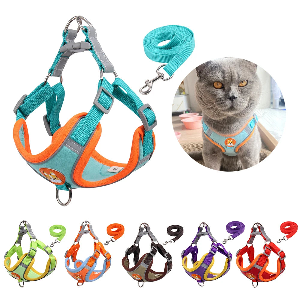 Conjunto de arnés y correa para gatos