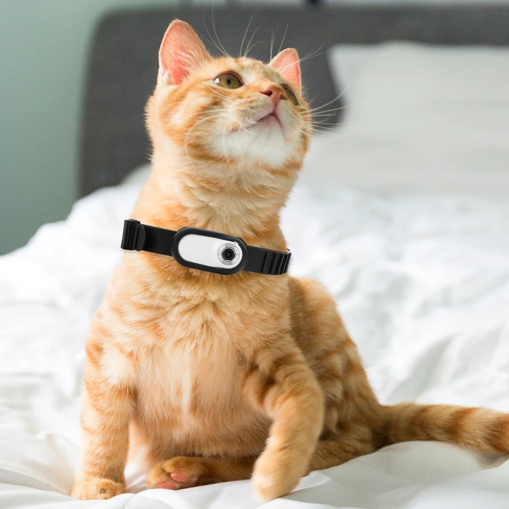 Collar con cámara para perros y gatos