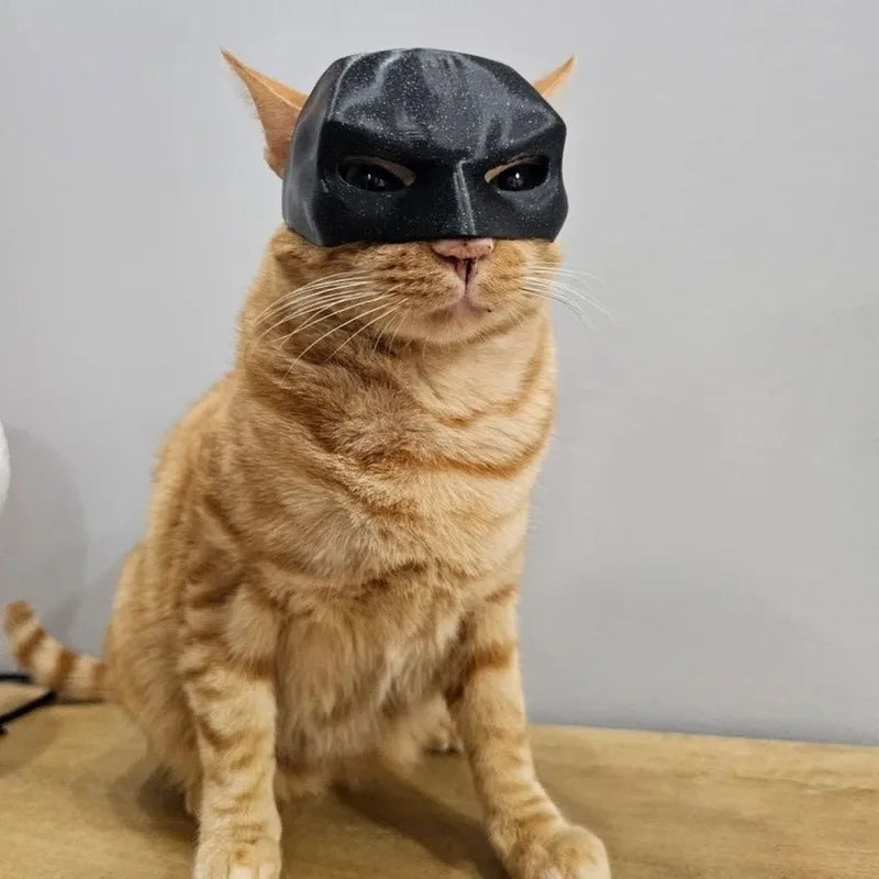 Máscara de murciélago y gato para mascotas