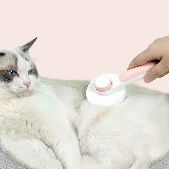 Cepillo autolimpiante para mascotas