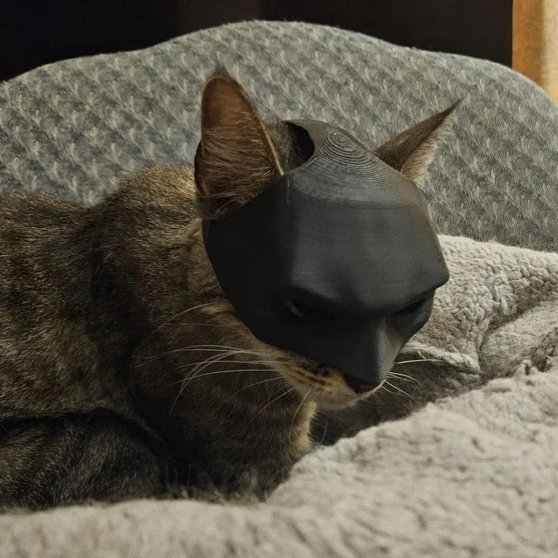 Máscara de murciélago y gato para mascotas