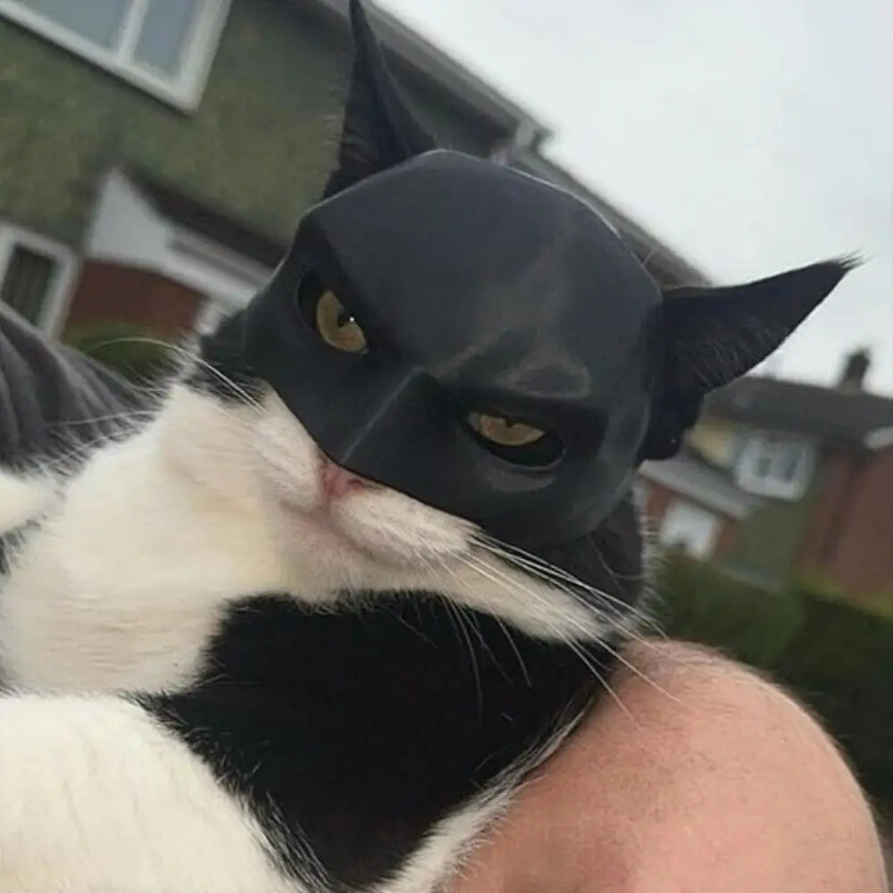 Máscara de murciélago y gato para mascotas