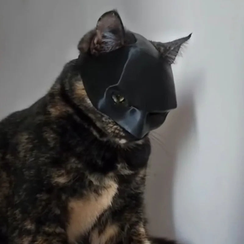 Máscara de murciélago y gato para mascotas